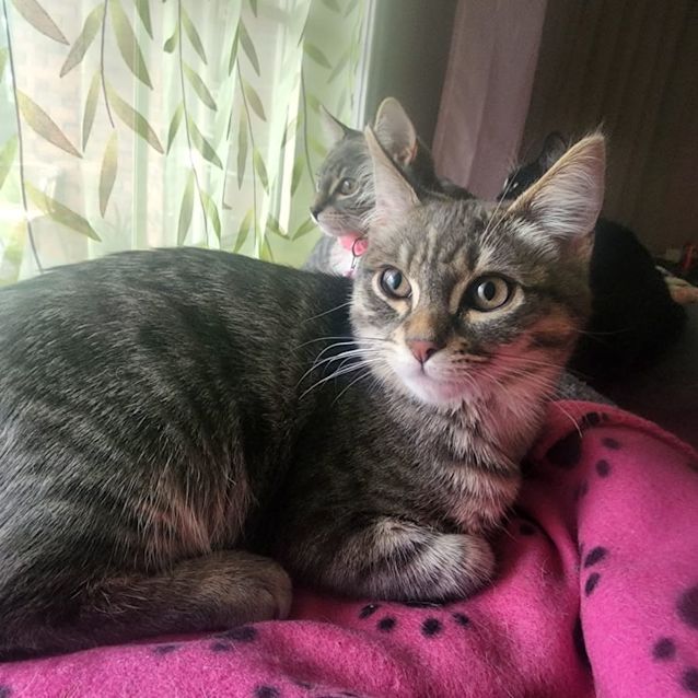 Photo of Juliet