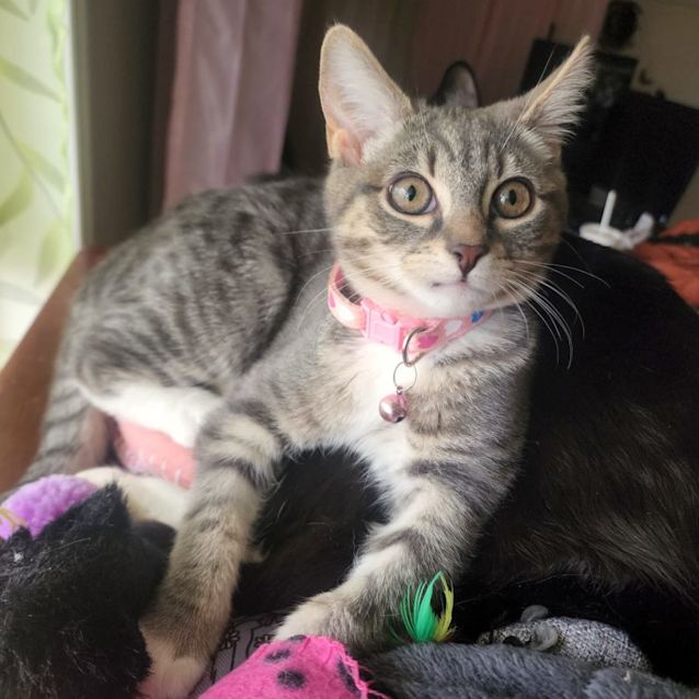 Photo of Jasmine