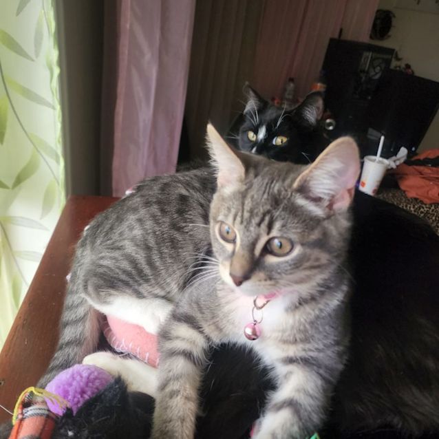 Photo of Jasmine
