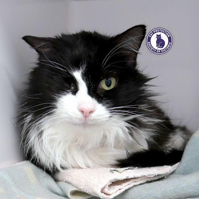 Photo of Lil Boy Sua011453