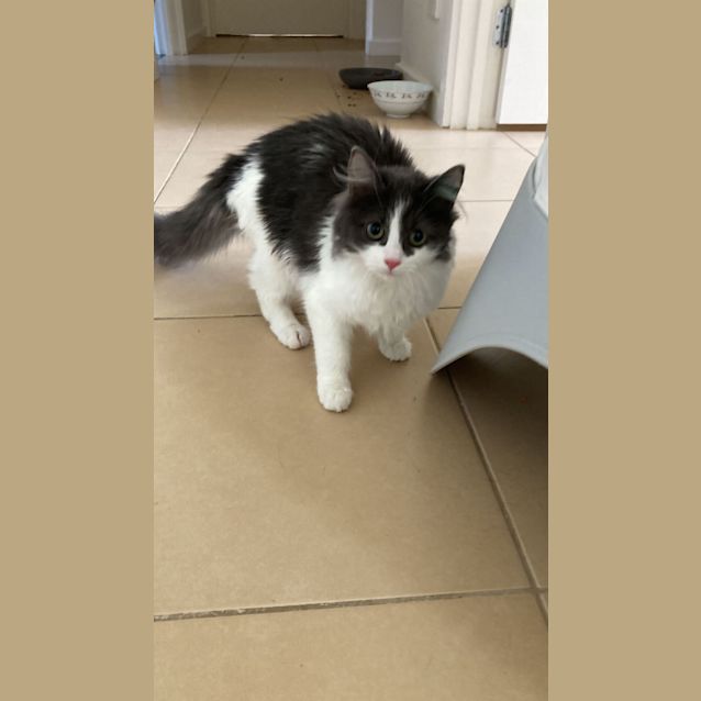 Photo of Honey