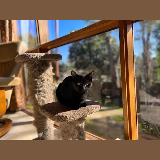 Photo of Bell