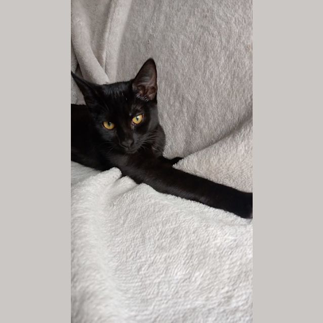 Photo of Ruby