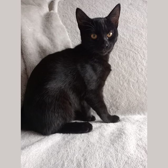 Photo of Ruby