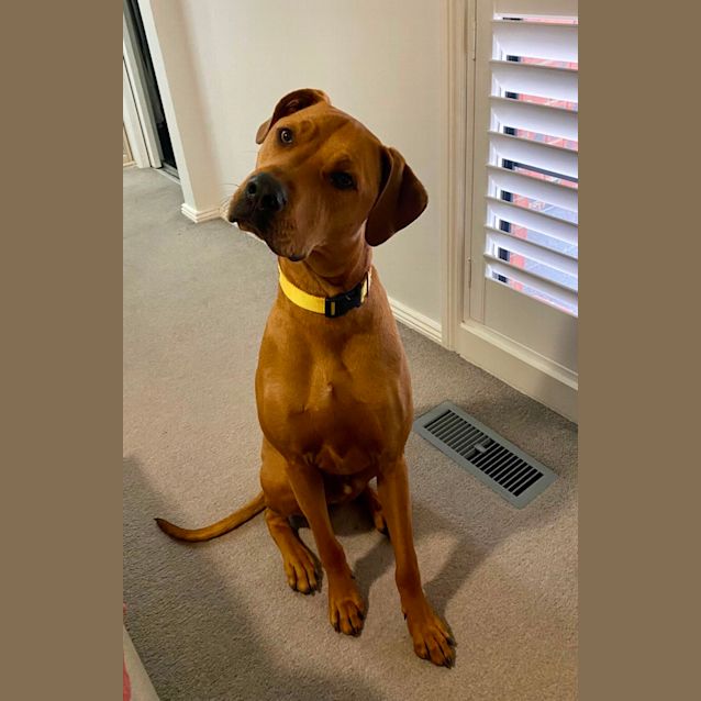 Photo of Tuck