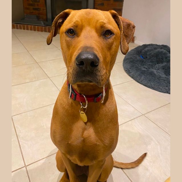 Photo of Tuck