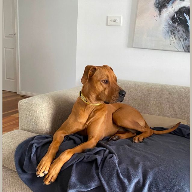 Photo of Tuck