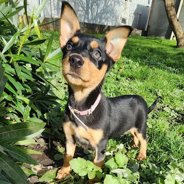Photo of Crystal