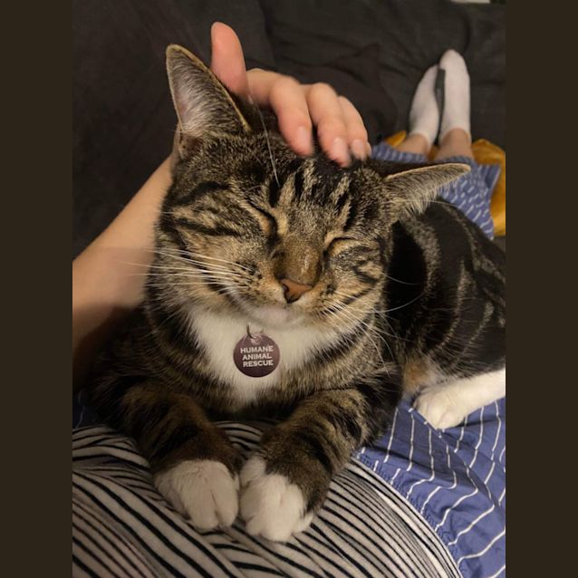 Photo of 🍝Linguine🍝