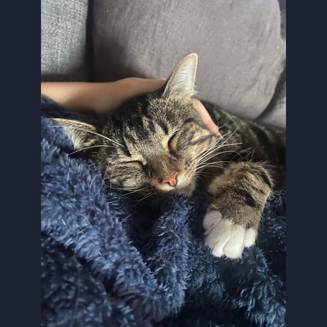 Photo of 🍝Linguine🍝