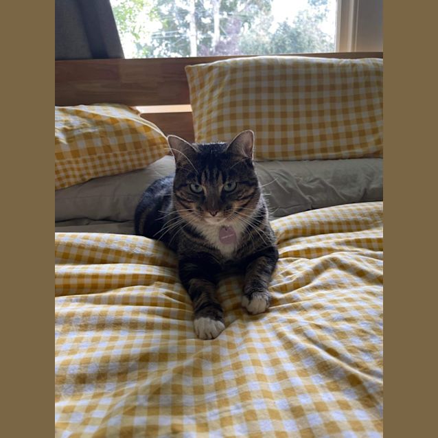 Photo of 🍝Linguine🍝