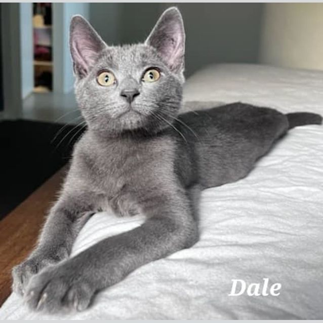 Photo of Dale