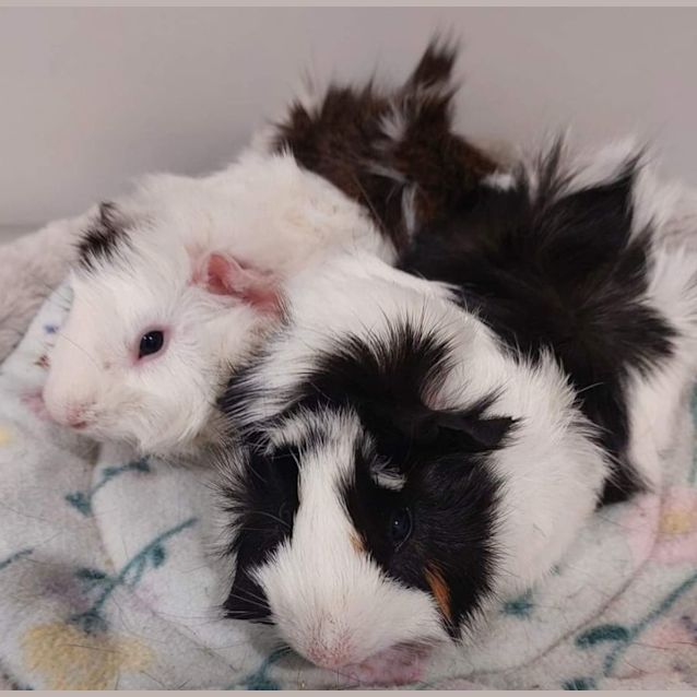 Photo of Fable &Clay