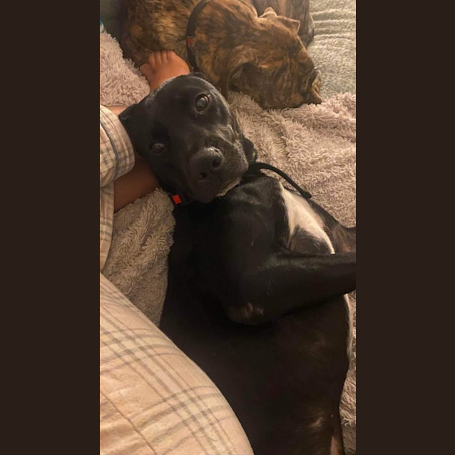 Photo of Annie