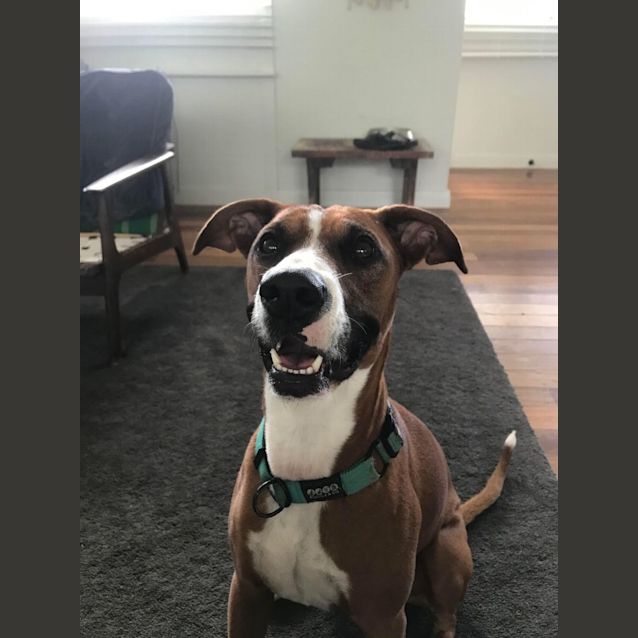 Photo of Roxy