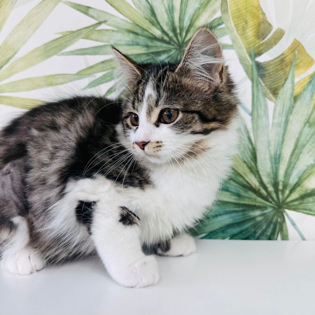 Photo of Bagel   Located In Preston