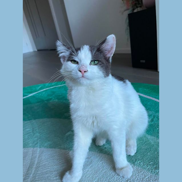 Photo of Luigi