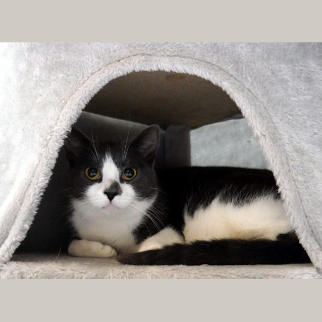 Photo of Cora Sta011417