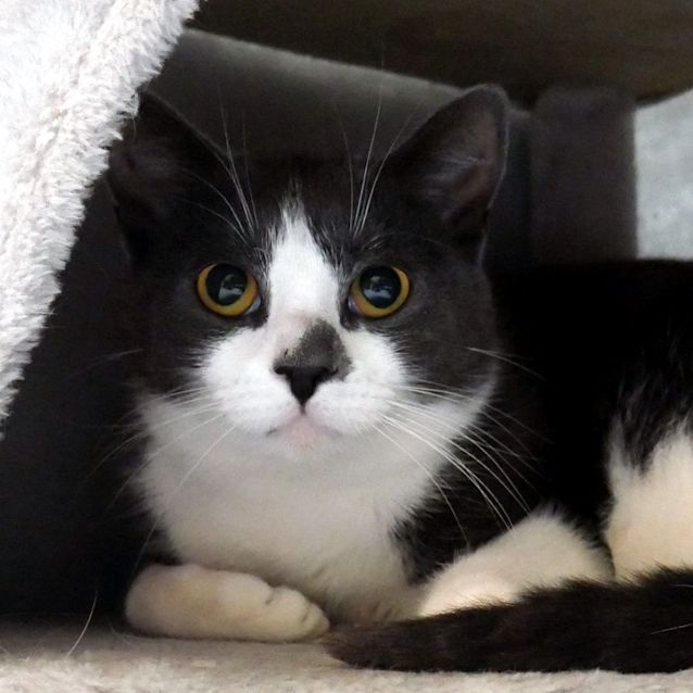 Photo of Cora Sta011417