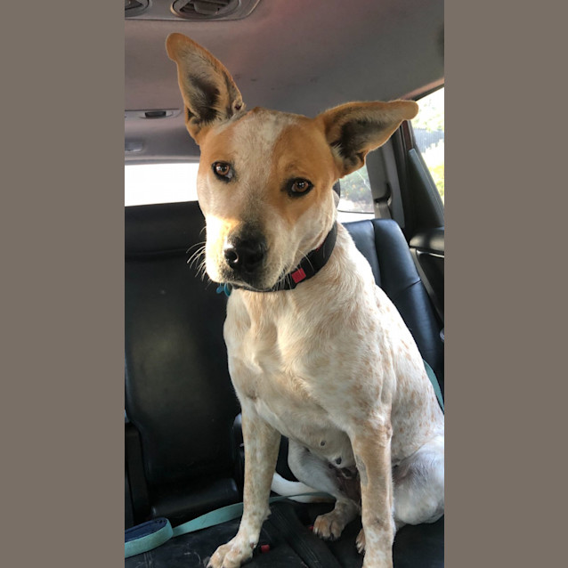 Photo of Evie