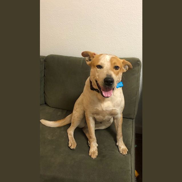 Photo of Evie