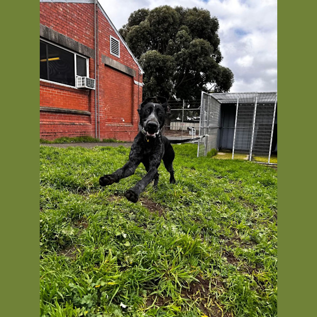 Photo of Stryder