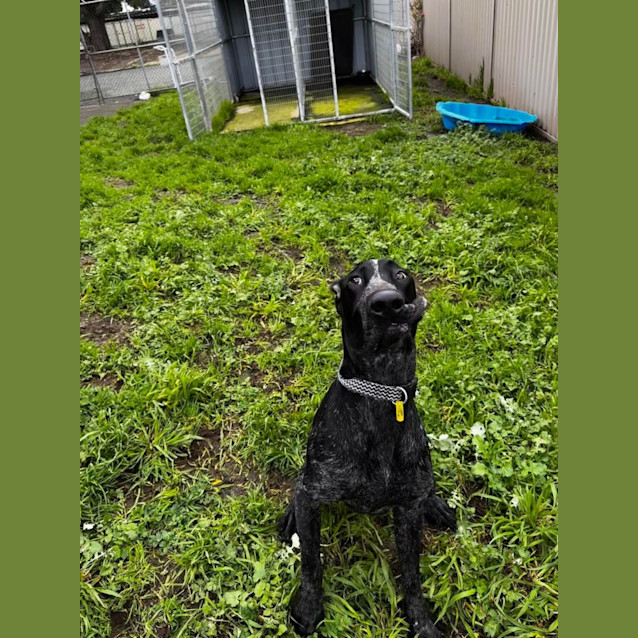 Photo of Stryder