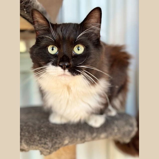 Photo of Kuva