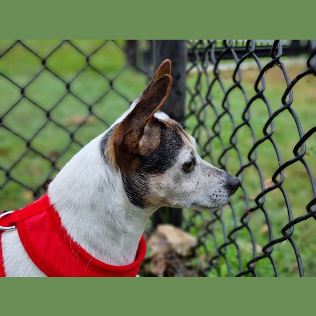 Photo of Mitzi