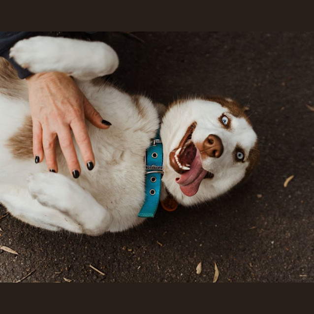 Photo of Yuki