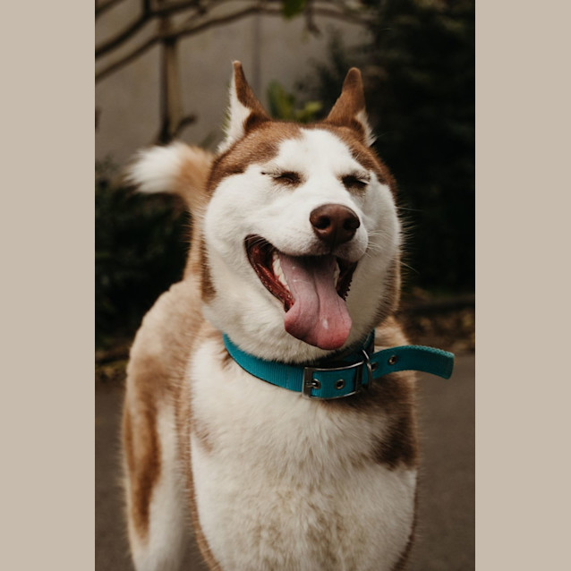 Photo of Yuki