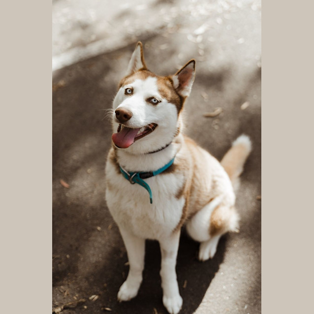 Photo of Yuki