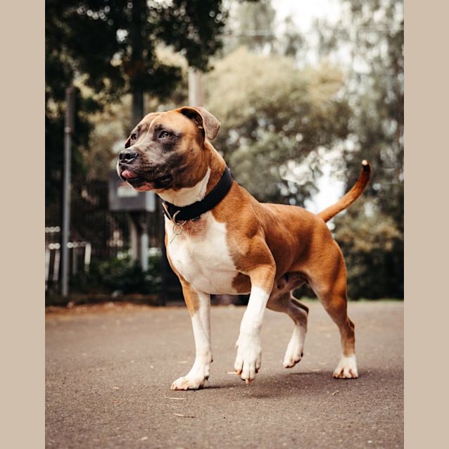 Photo of Cash