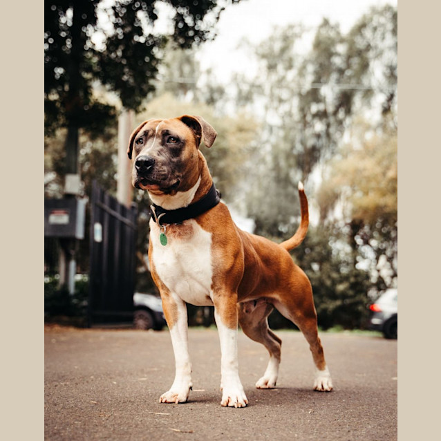 Photo of Cash