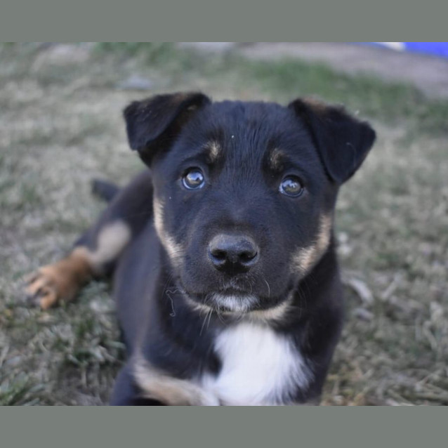 Photo of Spike