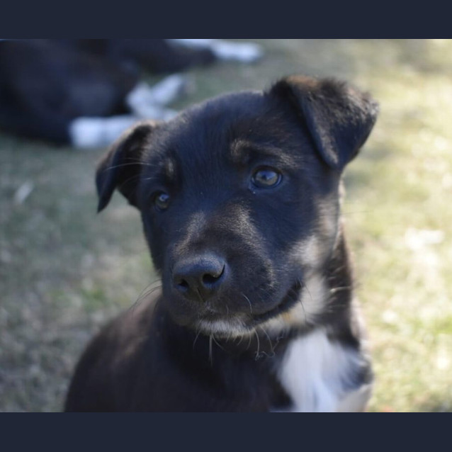 Photo of Spike