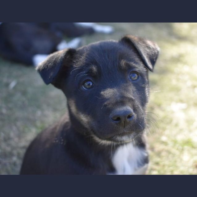 Photo of Spike