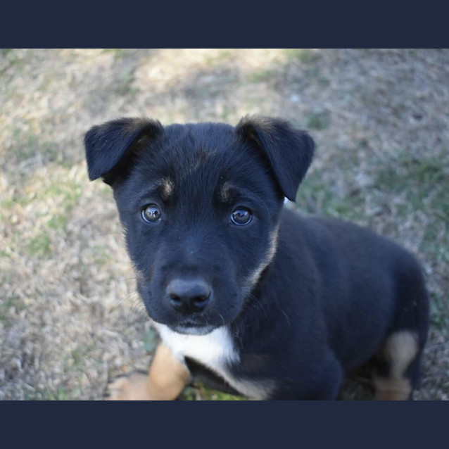 Photo of Spike