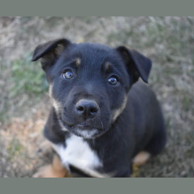 Photo of Spike