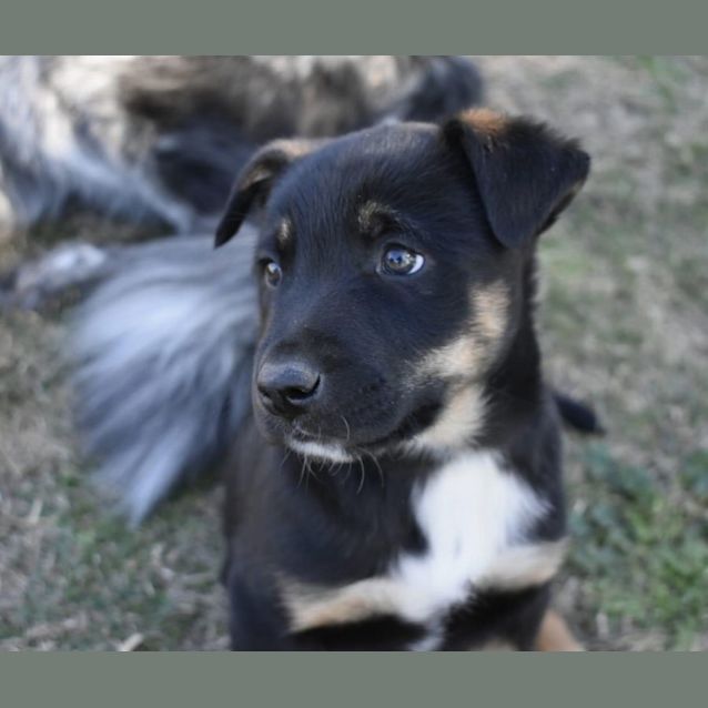 Photo of Spike