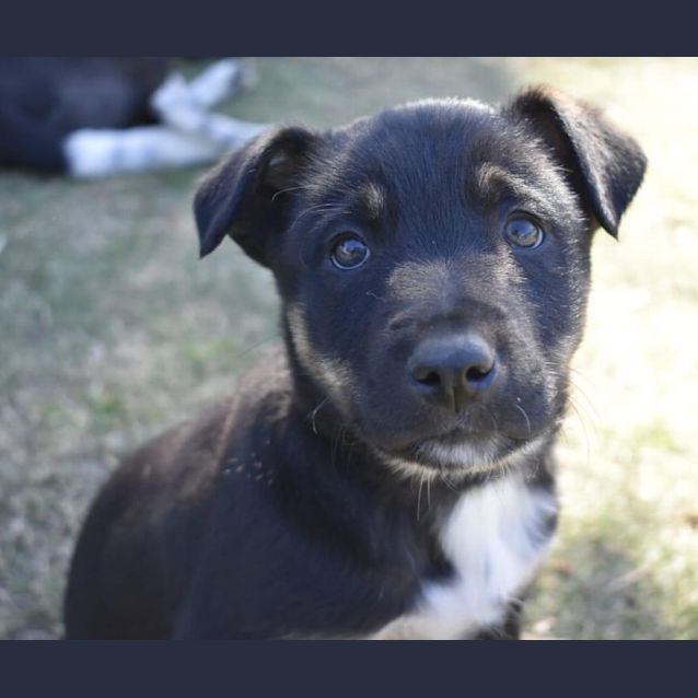 Photo of Spike