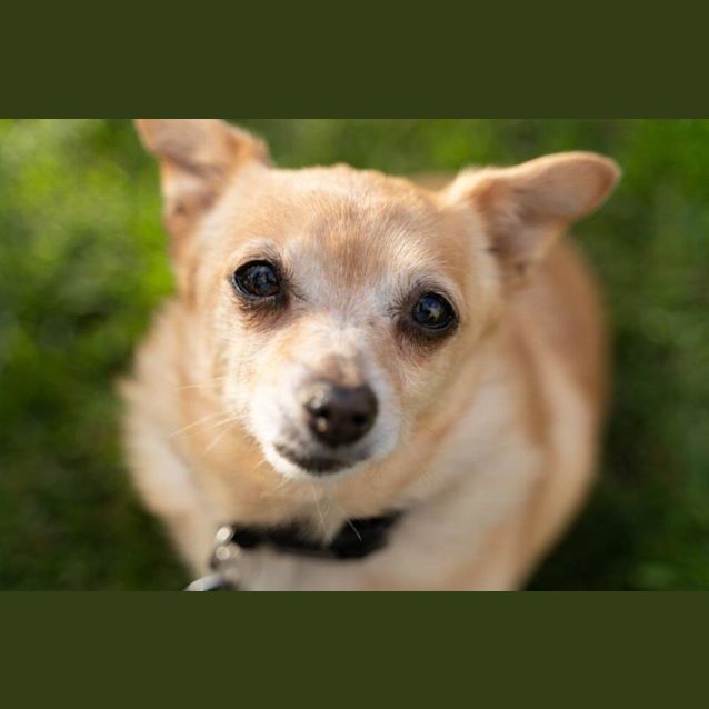 Photo of Rocket And Teacup Upchurch