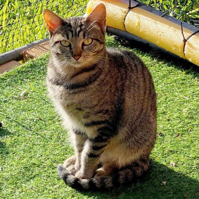 Photo of 9312   Sassy