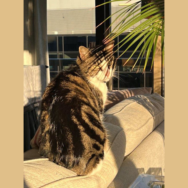 Photo of Felix Rossiter