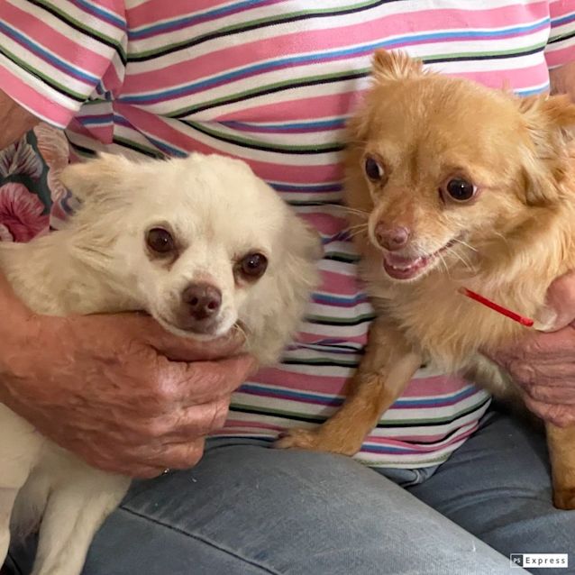 Photo of Paris & Possum