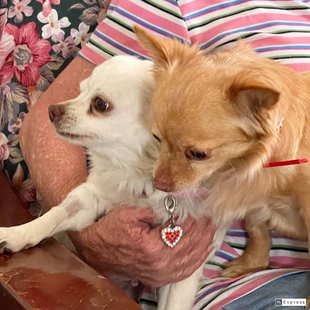 Photo of Paris & Possum