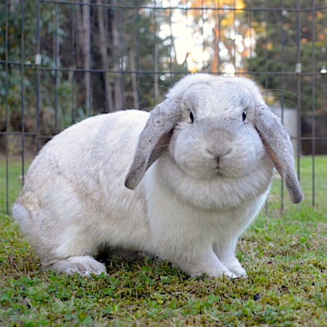 Photo of Dotte Hopkins