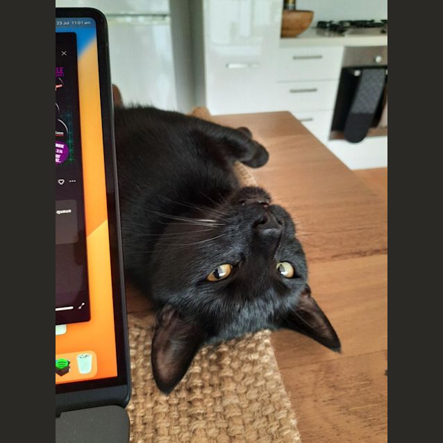 Photo of Moe