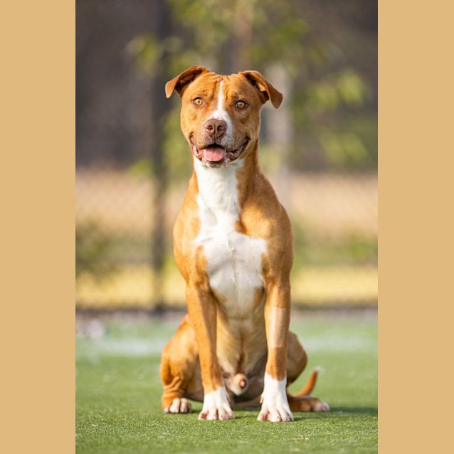 Photo of Oscar Imp 1121