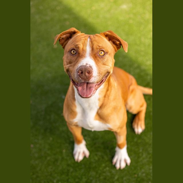 Photo of Oscar Imp 1121